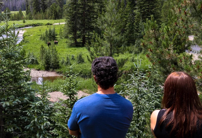 Visitors watching moose from afar in Rocky Mountain National Park