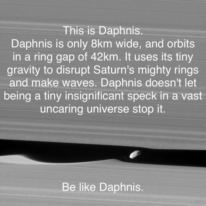 Image of tiny moonlet orbiting in dark gap in Saturn's rings. Waves of disruption can be seen at edges of gap. Added text reads:
"This is Daphnis. Daphnis is only 8km wide, and orbits in a ring gap of 42km. It uses its tiny gravity to disrupt Saturn's mighty rings and make waves. Daphnis doesn't let being a tiny insignificant speck in a vast uncaring universe stop it. Be like Daphnis."