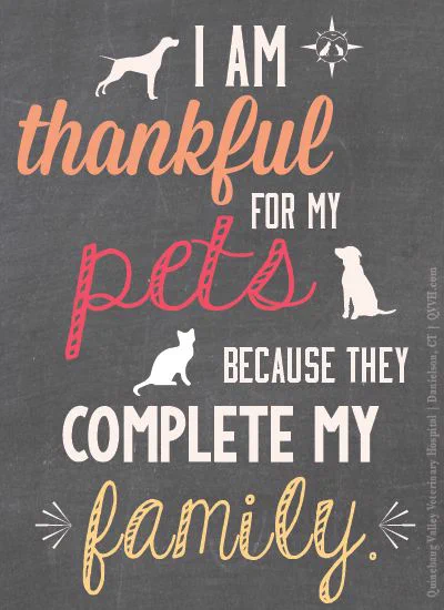 typographical poster on a gray chalkboard-like background by QVVH.com that has white silhouettes of two dogs and a cat interpersed beween the words: I'm thankful for my pets because they complete my family.