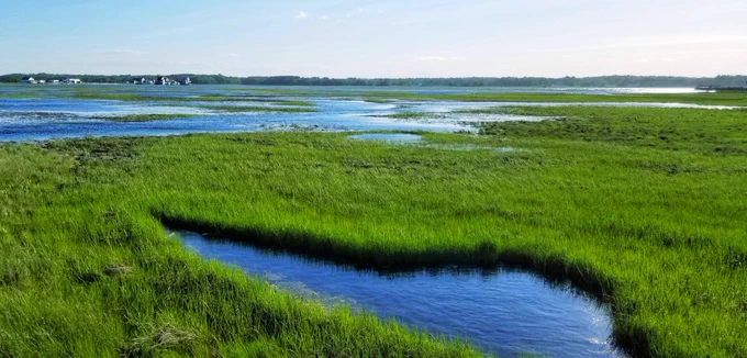 Image of salt marsh with green marsh grass, water and blue sky.