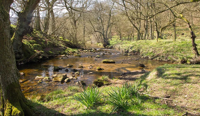 River Rye at Low Locker  - photo by Liz Bassindale