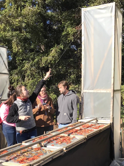 Student gestures at chimney on solar dryer with dried tomatoes