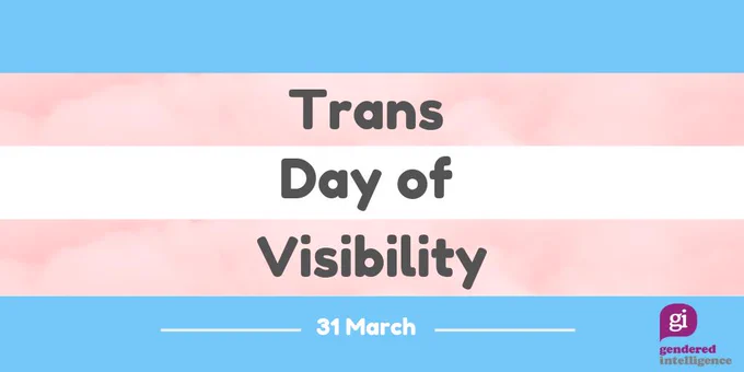 Text  reads: "Trans Day of Visibility" on background of trans flag which is pink, blue and white stripes