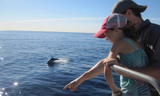 Child and adult look at water as dolphin jumps.