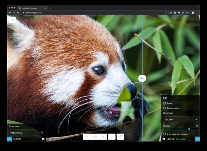 Screenshot of Squoosh