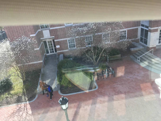 Faculty running from studs or just a lovely #spring day? You decide!