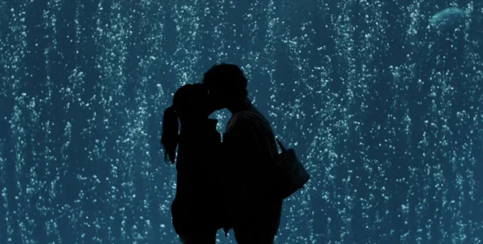 Big Little Lies scene at Monterey Bay Aquarium Open Sea exhibit