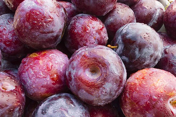 Fresh ripe purple plums covered with droplets of water.
