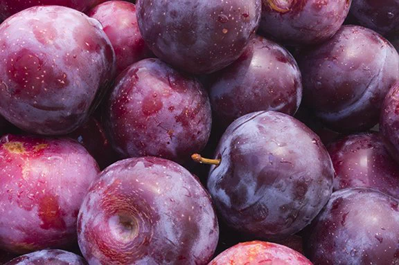 Fresh purple plums prepared for sale.