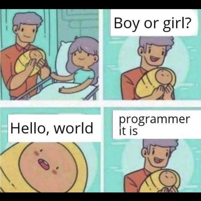 Gender? Oh so He's a Programmer. 