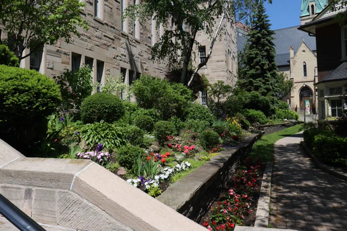 Flowers of various kinds, freshly planted in terraced gardens along the path to St. Basil's Church on the St. Michael's College campus.