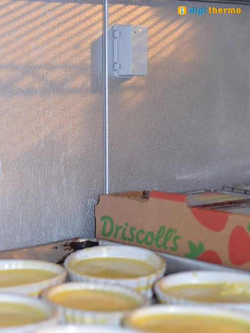 digi thermo wireless food temperature monitoring