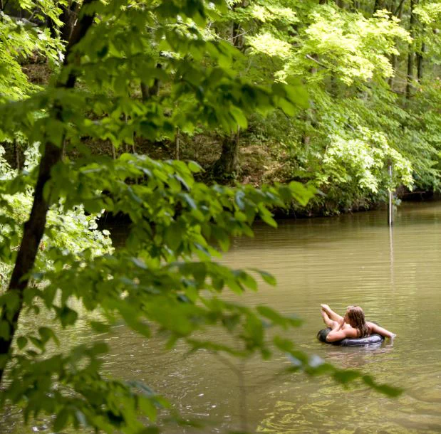 A girl floats on an innertube near a wooded area