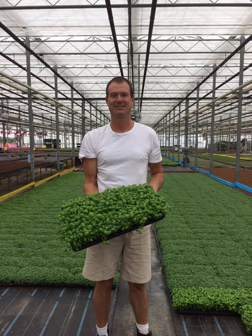 Image of a man holding a tray of microgreens in a greenhouse.