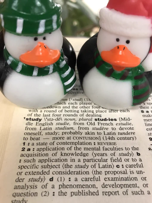 2 rubber ducks looking at the word study in the dictionary