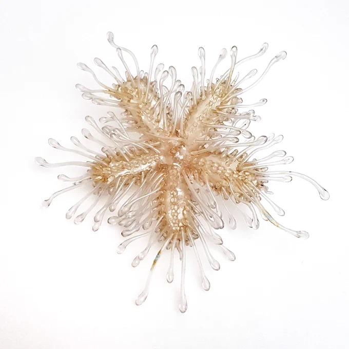 complex starfish with around 100 tube feet made of glass and extending in all directions from the main star shape