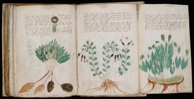 Voynich Hebrew