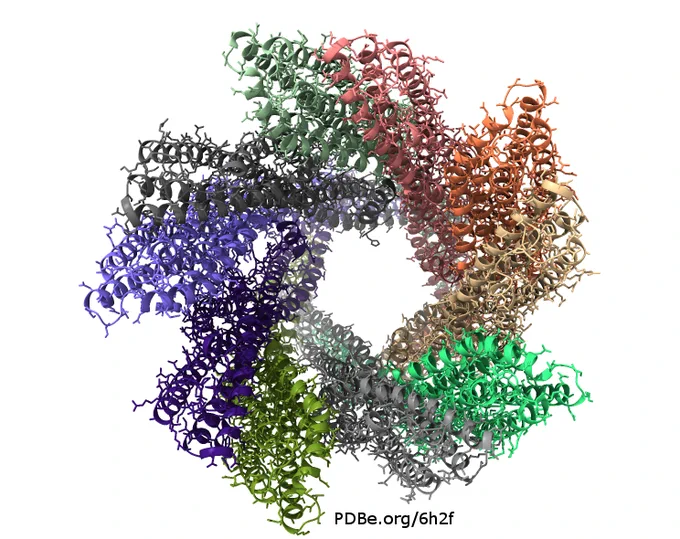 structure of a hemolysin protein
