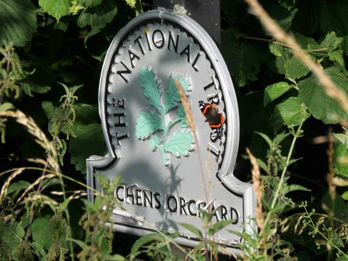 A wider view of the sign with butterfly happily resting on it.