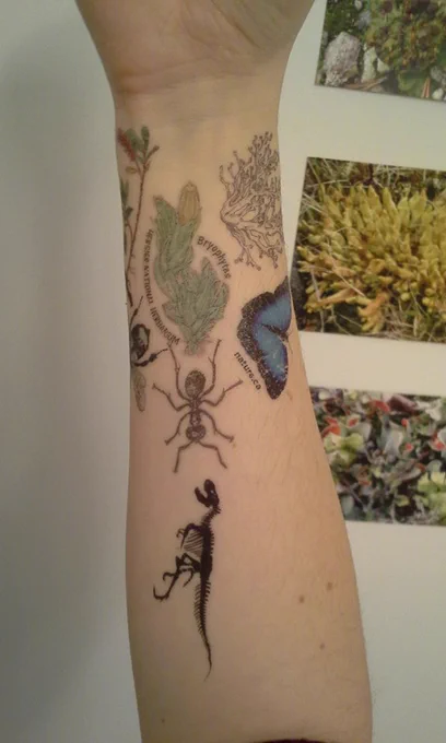 A forearm full of natural history themed temporary tattoos.