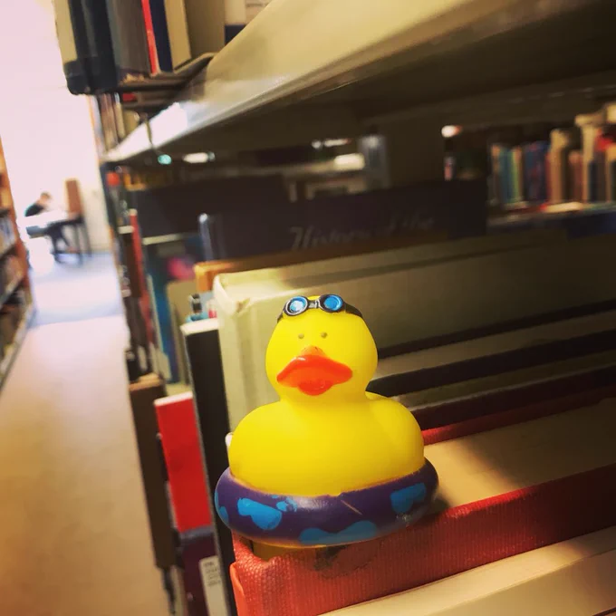 Study duck on a bookshelf with a student studying in the background