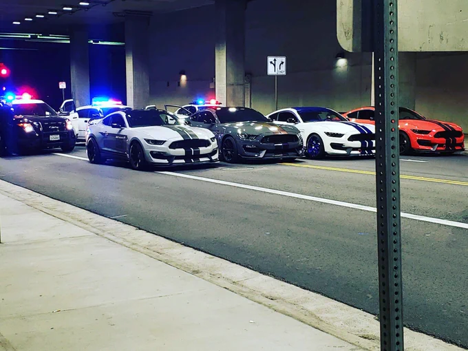 Cars lined up with police cars in the background