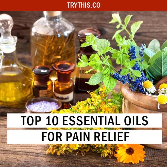 Essential oils have been used to treat all types of ailments and illnesses since the ancient times. Today, essential oils are still being used to promote wellness and health. There are many therapists who use essential oils for pain when treating people. The soothing effect and the relaxing scent of these essential oils are very effective in providing pain relief for most people.