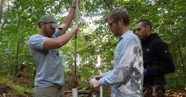 Three men insert sampler into PVC pipe in forest.