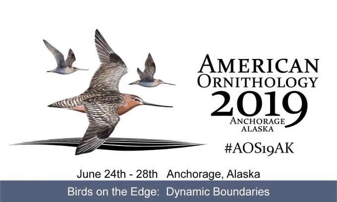AOS meeting logo with shorebirds in flight