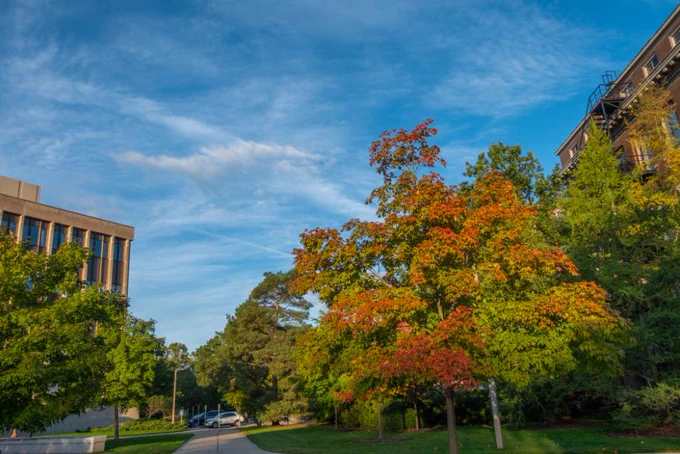 Wide shot of campus near the Hannah Administration Building with a blue sky and colorful leaves hanging from trees