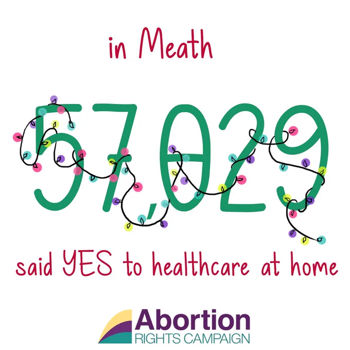 text reading “In Meath, 57,029 said YES to healthcare at home” wreathed in lights‬