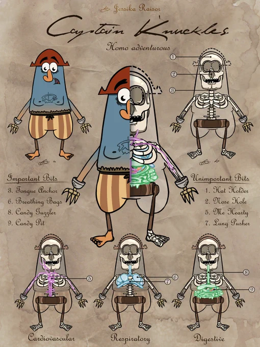 An anatomical poster of the cartoon character Captain K'nuckles. Features his skin, skeleton, cardiovascular system, respiratory system, and digestive system. Various parts are labelled.
