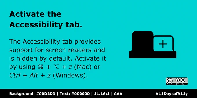 The Accessibility tab provides support for screen readers and is hidden by default. Activate it by using ⌘   ⌥   z (Mac) or Ctrl   Alt   z (Windows).