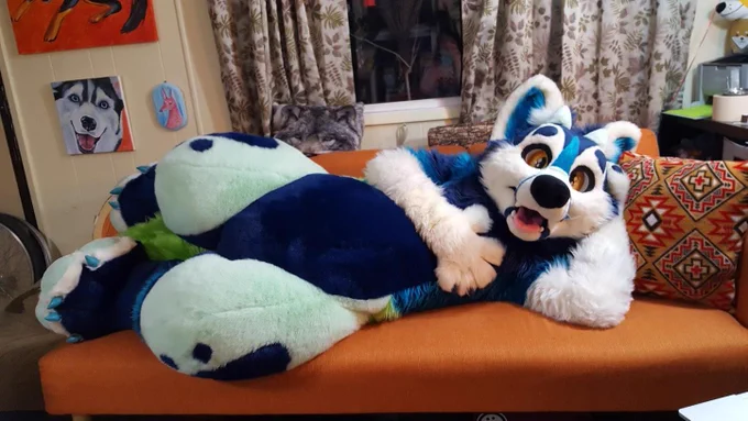 Bonk laying down on a couch.