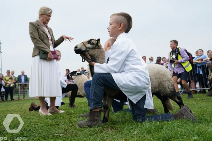 The Countess of Wessex attends the Westmorland County Show in Crooklands, Cumbria. 