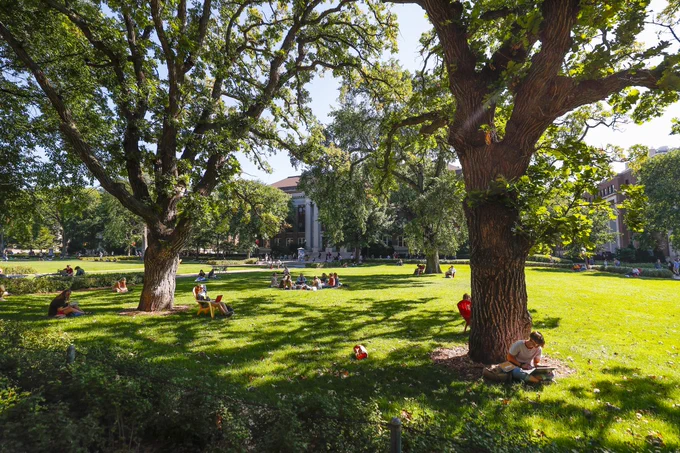 Photo of two trees in Northrop Mall, and students studying beneath them. 