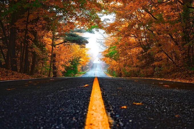 autumn, street, leaves