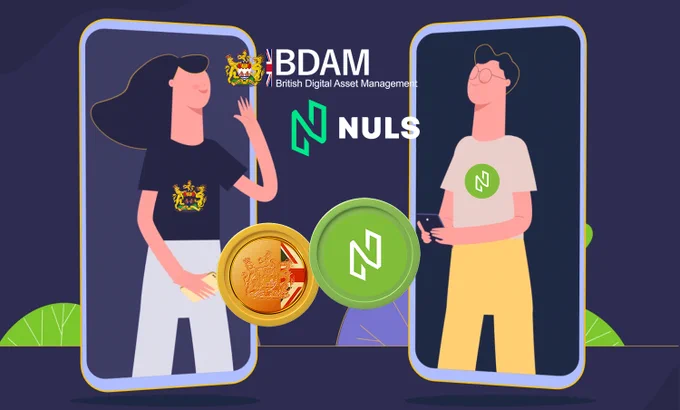 BDAM & NULS