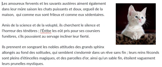 Capture d’écran d’une note (le poème Les Chats, de Baudelaire) illustrée d’une photo de chaton.