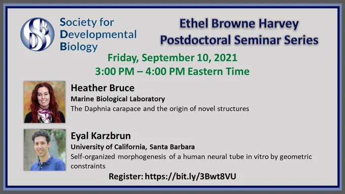 Heather Bruce (Marine Biological Laboratory)
The Daphnia carapace and the origin of novel structures
Eyal Karzbrun (University of California, Santa Barbara)
Self-organized morphogenesis of a human neural tube in vitro by geometric constraints