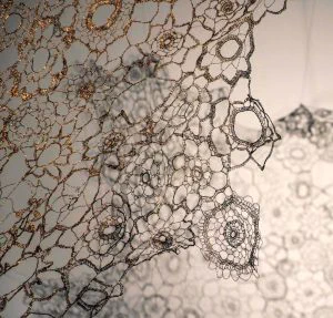 Shivani Aggarwal, Weaving Traps, 2020, Copper wire, thread, crochet. Photo: Sandeep Biswas. Courtesy of Studio Art Gallery New Delhi.
