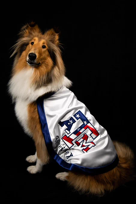 Reveille wearing a red, white, and blue blanket