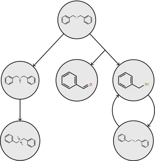 Figure 1: The pathway Benzyl Sulfide from the EAWAG-BBD package.