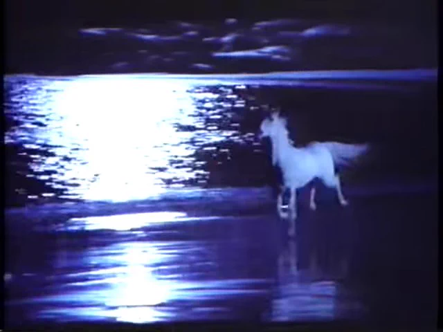 White magical Horse