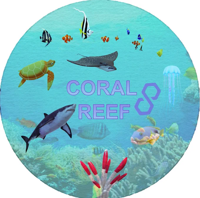 Coral Reef Token REEF: Grey Area Fine Art: Gray Area Fine Art: Polygon Token: Polygon Blockchain: Ocean: OpenSea