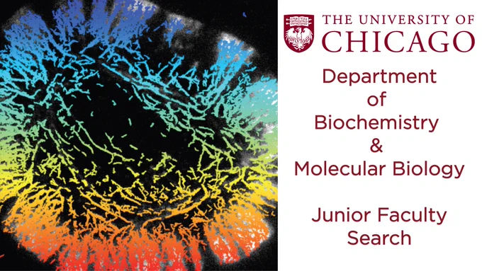 BMB is hiring!  See our dept website here:  https://biochem.uchicago.edu