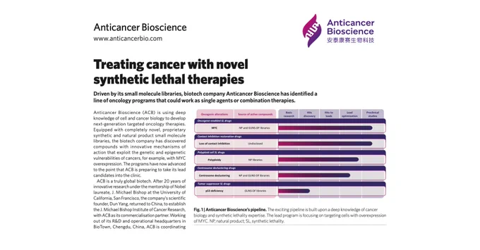 Treating cancer with novel synthetic lethal therapies