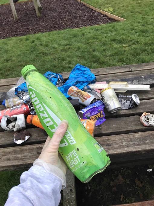 Litter picked up in one park (quite a lot for a small park)