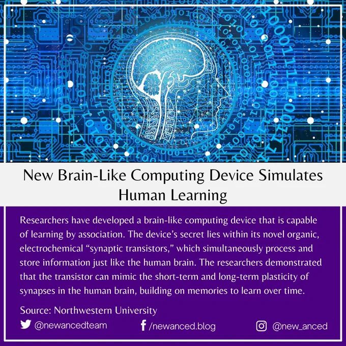 Researchers have developed a brain-like computing device that is capable of learning by association. The device’s secret lies within its novel organic, electrochemical “synaptic transistors,” which simultaneously process and store information just like the human brain. The researchers demonstrated that the transistor can mimic the short-term and long-term plasticity of synapses in the human brain, building on memories to learn over time.