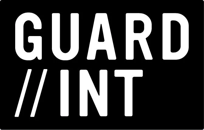 Oversight and intelligence networks:
Who guards the guardians?